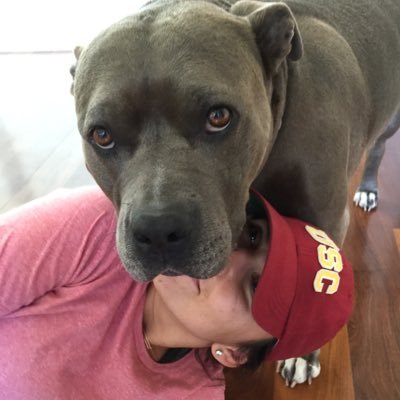 oliveeecarmack's profile picture. 