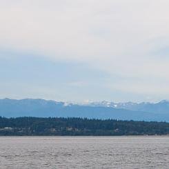 Crowqueen71's profile picture. bridging the gap between research and real life using plain language. cancer research experience from bench to clinic.