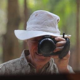 Bird photos from Thailand. Nemophilist. Carbon based Pragmatist. Part-time misanthrope. I love the smell of extrinsic decay in the morning.