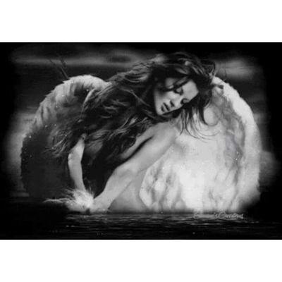 Leydevida2311's profile picture. Las mejores cosas en la vida son gratis : abrazar , sonreír , los amigos , la familia , amar , los buenos recuerdos .