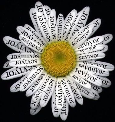 mutszluq's profile picture. 