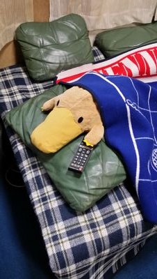 クスノキさんのプロフィール画像