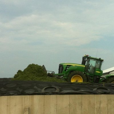 LDanen91's profile picture. Danesville Holstiens Ltd.