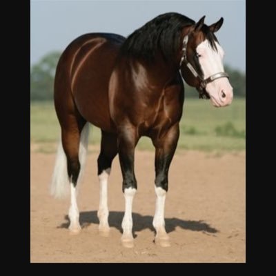 cclaiborne_gina's profile picture. 