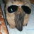 ijc529's profile image