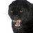QuantockBeast's profile image
