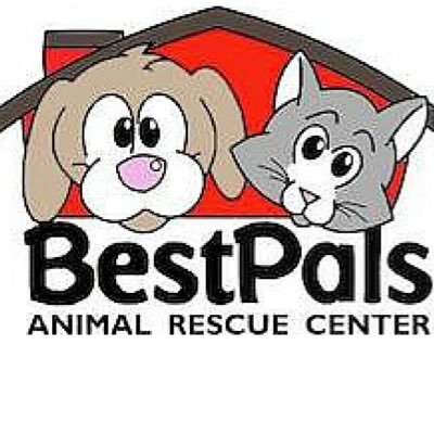 BestPalsRescue's profile picture. 501(c)3 No Kill dog and cat rescue run by volunteers located in Holland, MI. Making a difference four paws at a time.