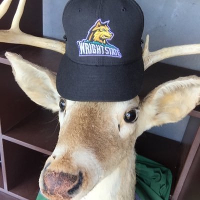 The unofficial, official mascot of @WSUBaseball! Sometimes life throws curve balls.. Other times it throws charter buses. #RaiderGang