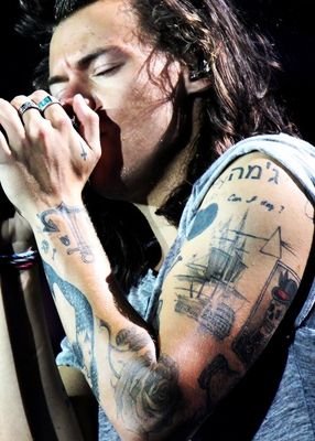 I kind of love harry styles, SDK & 5sos .... like a lot. (Directioner since 2012)