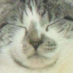 DigitalCleoさんのプロフィール画像