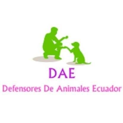 DaeEcuador's profile picture. Organizacion De Rescatistas Y Animalistas Indenpendientes Del Ecuador. 
Juntos No Permitiremos otro Maltrato Animal En El Ecuador.