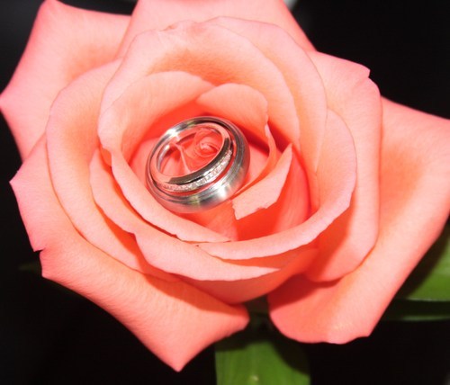 just4uws's profile picture. 