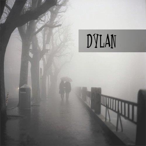 vikingbiood's profile picture. Ein Journalist, der irgendwas verfasst, was Erdogan nicht passt, ist morgen schon im Knast.