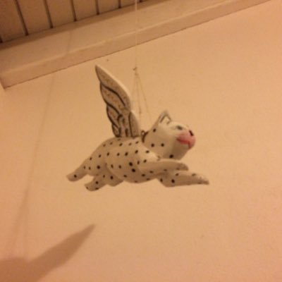 AlfredolagosAL's profile picture. Me