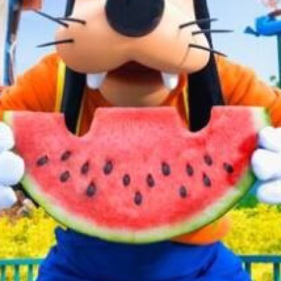 ❤️＝音楽（ELLEGARDEN・the HIATUS・MONOEYES・ホルモン・NCIS・テナー・MWAM・Good Charlotte・Weezer・ドリカム＠PP会員などなど）／映画／海外ドラマ／Beagle／スイカ味／チビたち(姪×１＆甥×２)を溺愛。 気になったらライブに行くがモットーです。