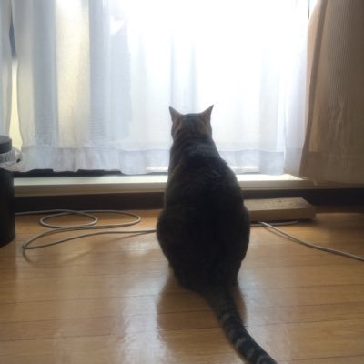 かおまん さんのプロフィール写真