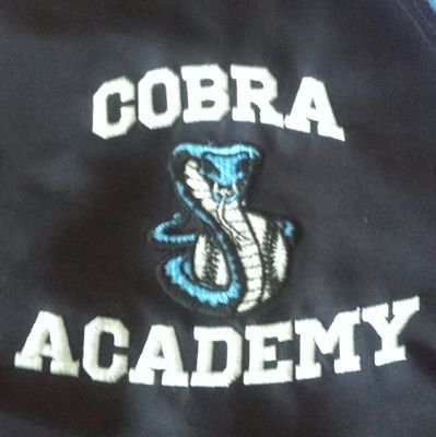 COBRA BB ACADEMY