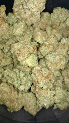 lifted_leg_acy's profile picture. 