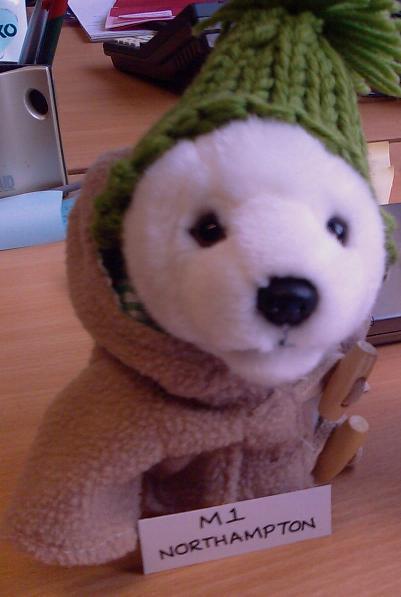 RAAAHH!! not really, I'm a nice polar bear...