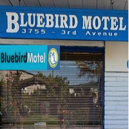 bluebirdalberni's profile picture. Bluebird Motel is Affordable Luxury Accommodation in Port Alberni