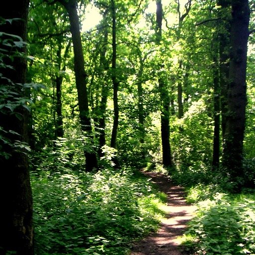 Ranger Service covering the constituencies of Hall Green & Selly Oak. Including the sites of Kings Heath, Cannon Hill, Highbury and Shire Country Park