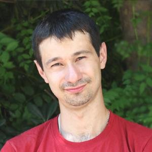 Программный архитектор веб-сервисов и сайтов, тимлид, веб-девелопер и горнолыжнег)