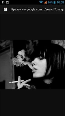 256sasd's profile picture. Hümanistik biri