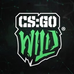 Official Support/Admin of https://t.co/SCvNUJ0sq4 #GoWild This is my only account, all others are impersonators