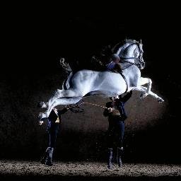 Venez voir danser les chevaux andalous !
Pour la première fois à Paris, le spectacle complet de L’Ecole Royale Andalouse d’Art Equestre.