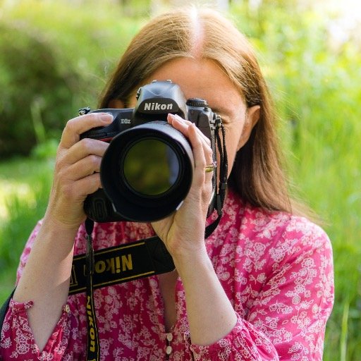 SueTodd's profile picture. Entrepreneur, Developer, photographer  and fair weather gardener