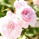1980円 (@1980yeeeeeeeen) Twitter