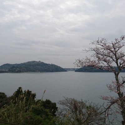 ii99h61's profile picture. 多趣味な人です笑笑