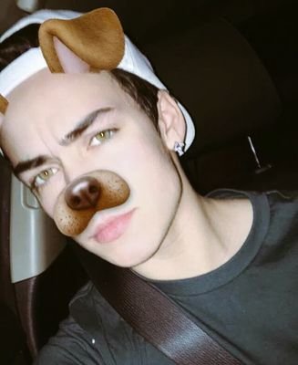 Williamrpgld2's profile picture. Is this love, is this love that I'm feeling ?  


En cas de recherche voir chambre 309. 

25/03/16