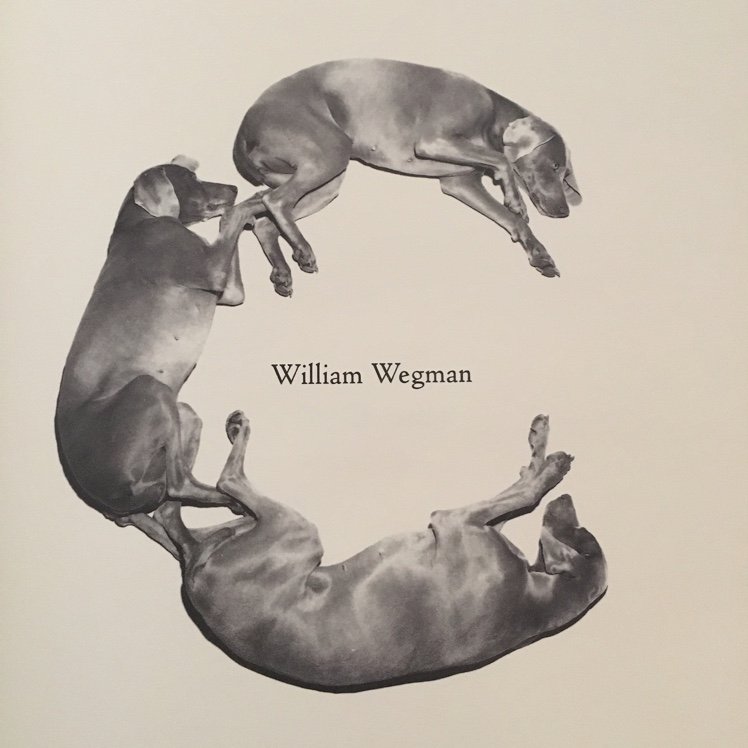 hikaroux's profile picture. 