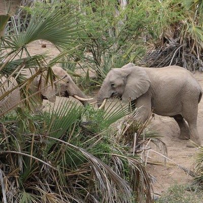 ednakiriama's profile picture. I AM WHO I AM