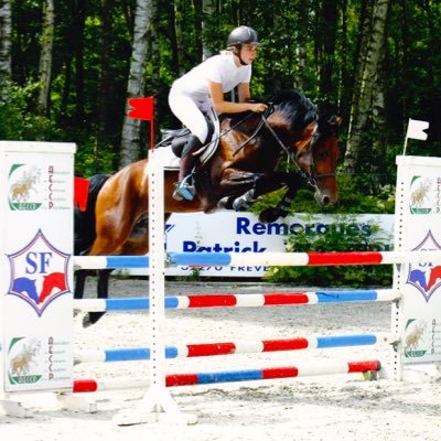 pension chevaux et poneys, sortie quotidienne au paddock, coaching concours, Elevage de poneys de sport, ambiance conviviale et familiale.