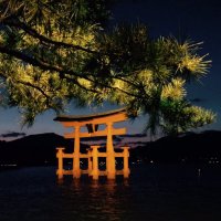 中国ブロック劇王★第十一回劇王9.14開幕★ (@gekiouchuugoku) 's Twitter Profile Photo 中国ブロック劇王★第十一回劇王9.14開幕★ (@gekiouchuugoku) 's Twitter Profile Photo