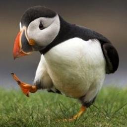 tradethecurve's profile picture. Non-suicidal yield curve trader. Sometimes I write other fictional statements. Former proprietary trader (risk & share class arb). No trading advice here.