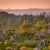 Coast Rainforest RCN (@coastrainforest) Twitter profile photo Coast Rainforest RCN (@coastrainforest) Twitter profile photo