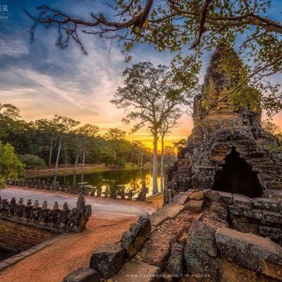 RedRed54395124's profile picture. Sports