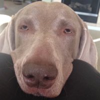 Lloyd Mathews (@whitten3mathews) 's Twitter Profile