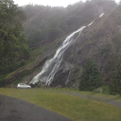 kevinbrady534's profile picture. 