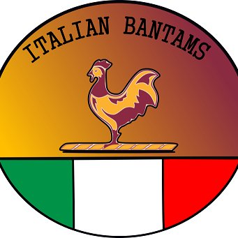 ItalianBantams's profile picture. Prima pagina italiana dedicata al Bradford City! CTID!!!