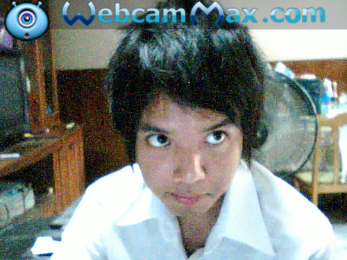 troletto's profile picture. 