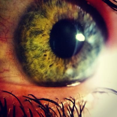 paddygsleeves's profile picture. UX & UI Art Director @ https://t.co/R0yOU6k0tu