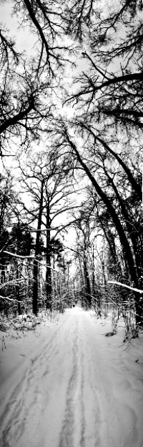 svyatnenko's profile picture. 