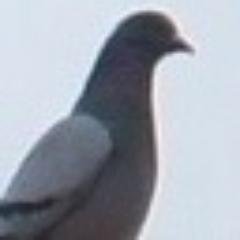 PaxMundさんのプロフィール画像