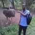 Lamin Drammeh (@lamin_dramz) Twitter profile photo Lamin Drammeh (@lamin_dramz) Twitter profile photo