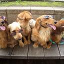 Alexis Schmitt - @LexiMaeSchmitt - Twitter