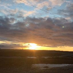 MsJacobs_NL's profile picture. 